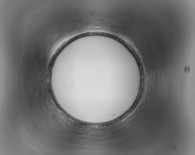 X0000111931167200908241108