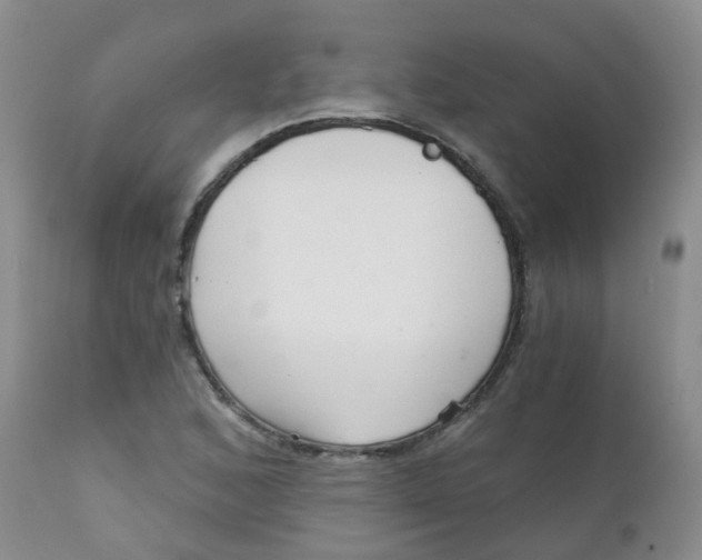 X0000111931168200908241108