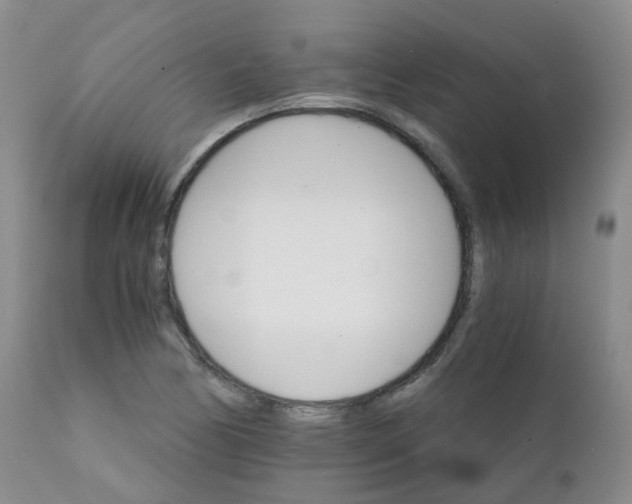 X0000111931170200908241108