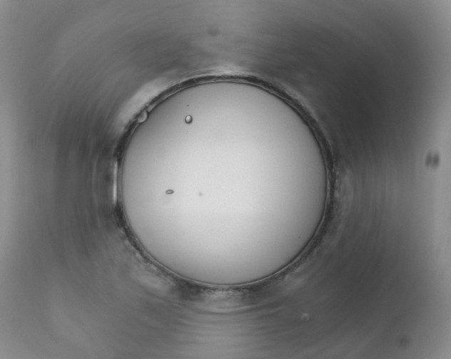 X0000111931171200908241108