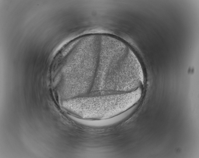 X0000111931173200908241108