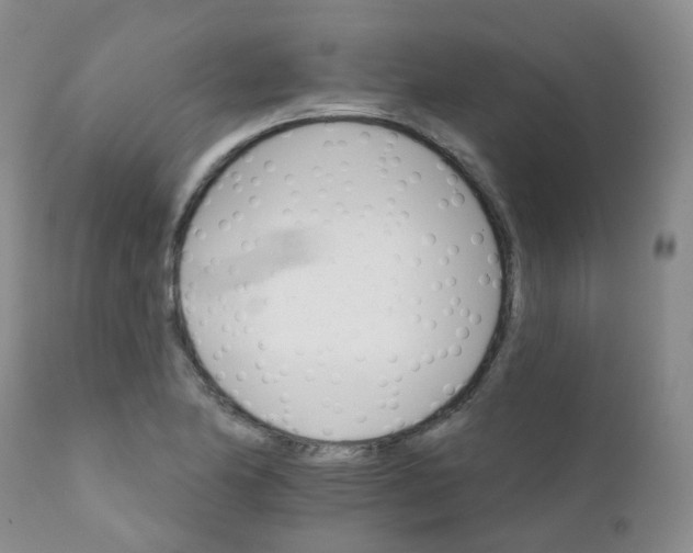 X0000111931174200908241108