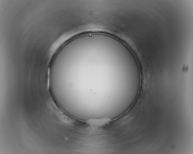 X0000111931175200908241108