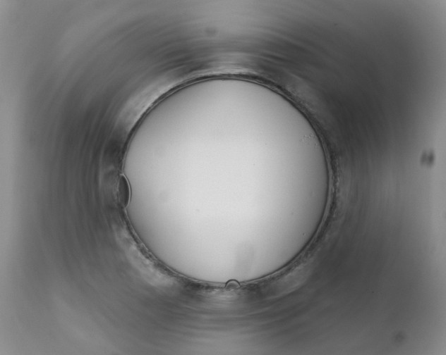 X0000111931177200908241108