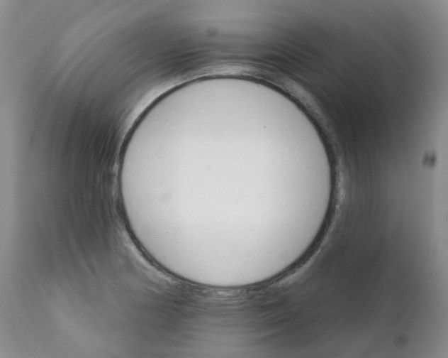 X0000111931178200908241108