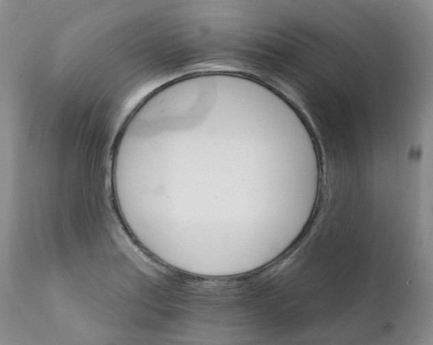 X0000111931179200908241108