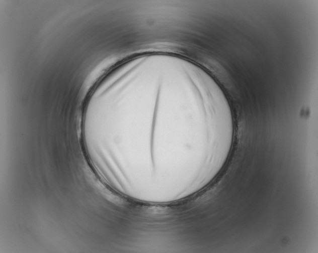 X0000111931180200908241108