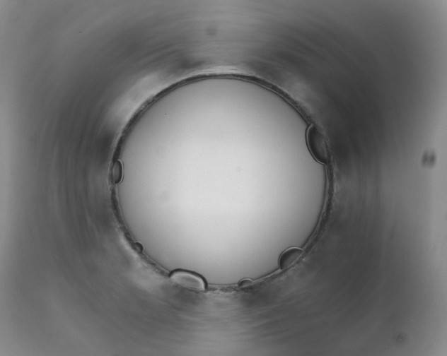 X0000111931181200908241108