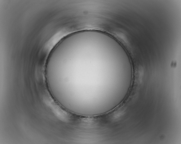 X0000111931182200908241108