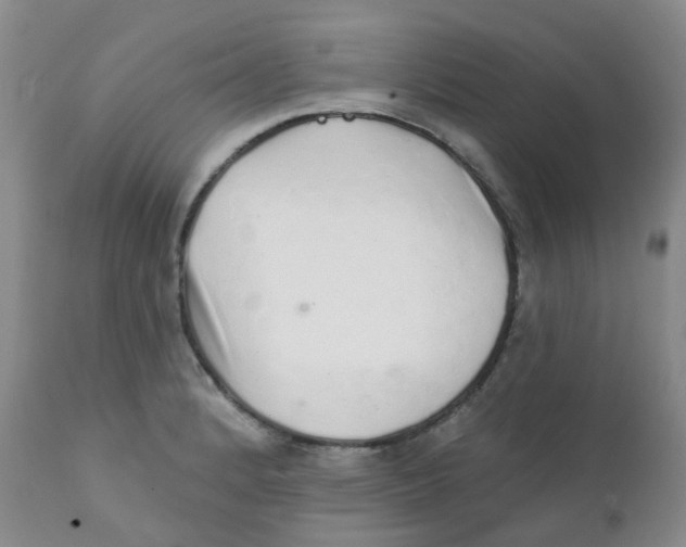 X0000111931184200908241108