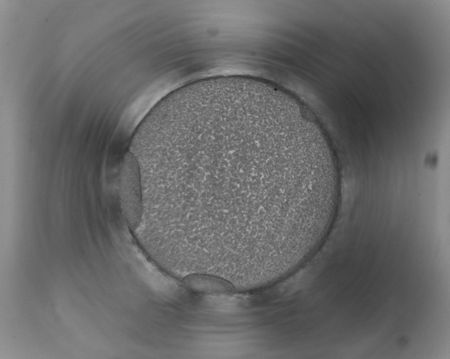 X0000111931185200908241108