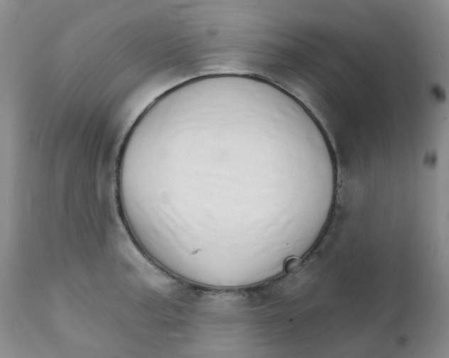 X0000111931187200908241108