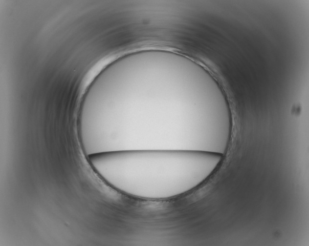 X0000111931188200908241108