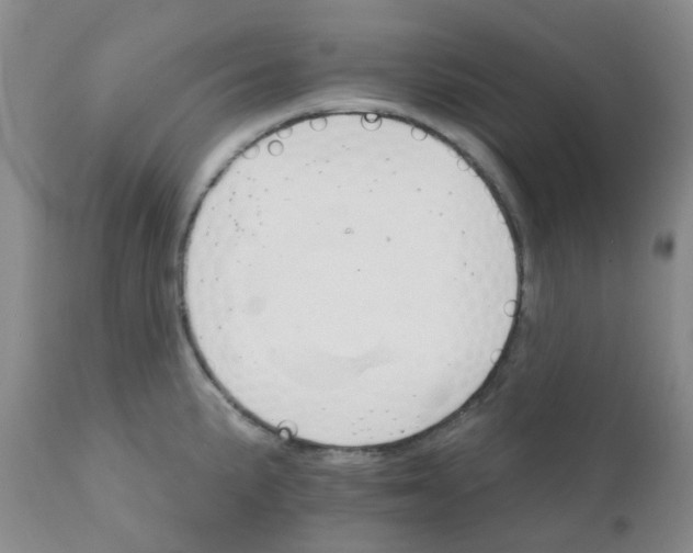 X0000111931191200908241108