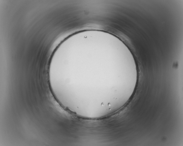 X0000111931192200908241108