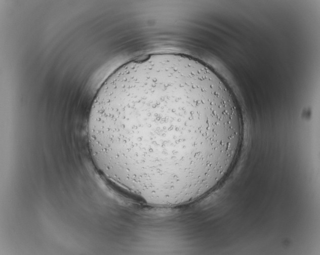 X0000111931193200908241108