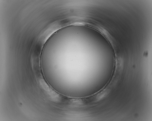 X0000111931194200908241108