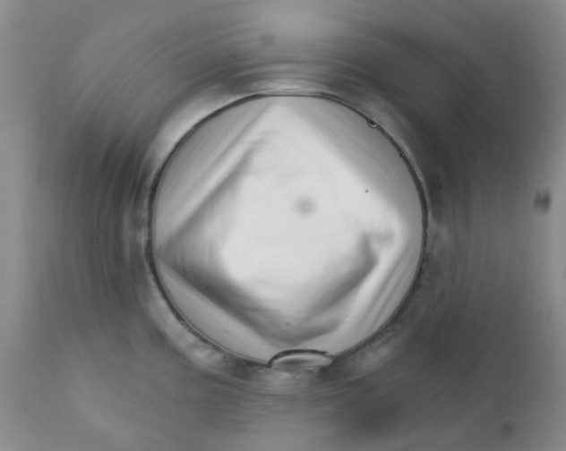 X0000111931195200908241108