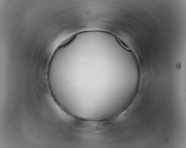 X0000111931197200908241108