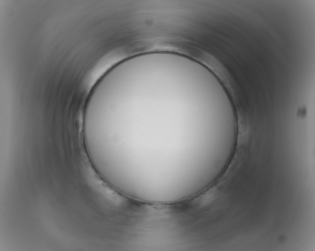 X0000111931198200908241108