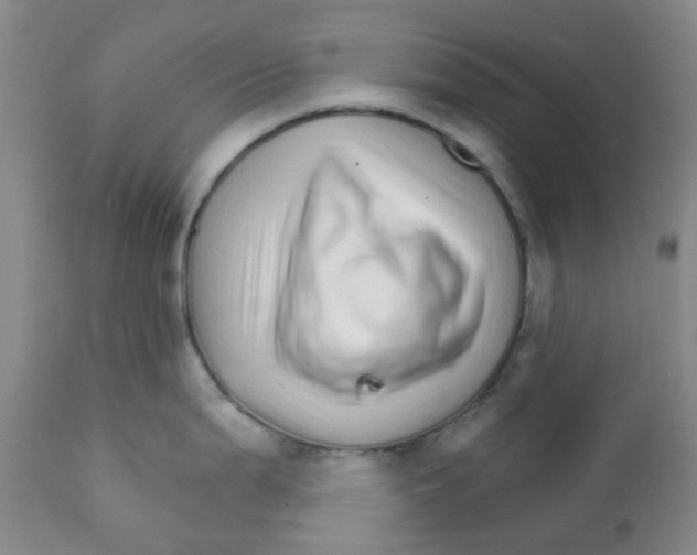 X0000111931199200908241108