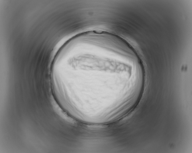 X0000111931200200908241107