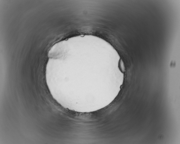 X0000111931201200908241107