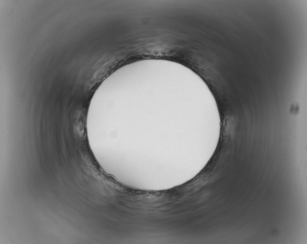 X0000111931202200908241107