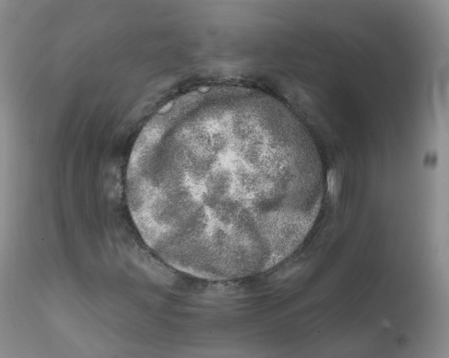 X0000111931203200908241107