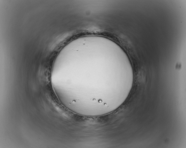 X0000111931205200908241107