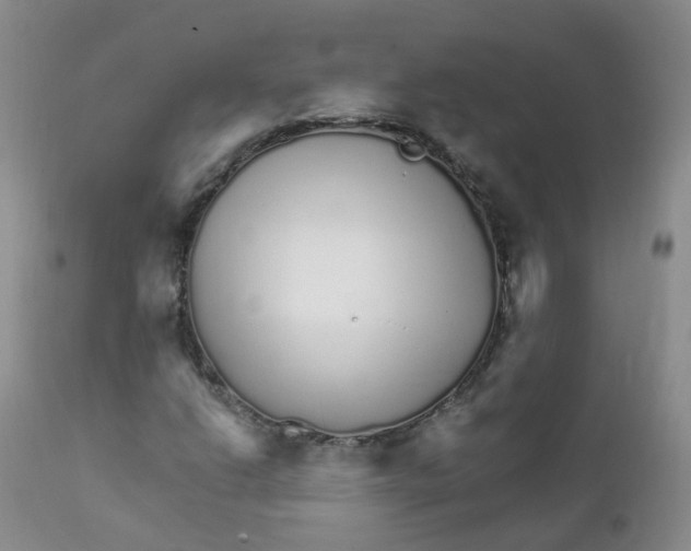 X0000111931206200908241107