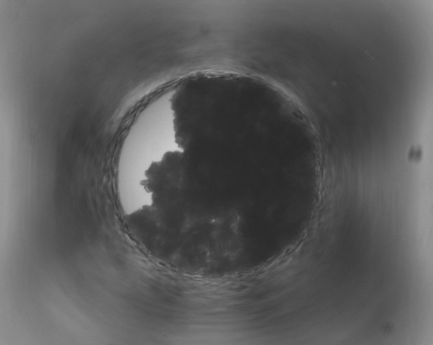 X0000111931207200908241107