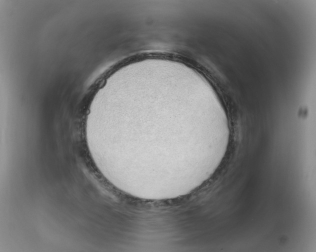 X0000111931208200908241107