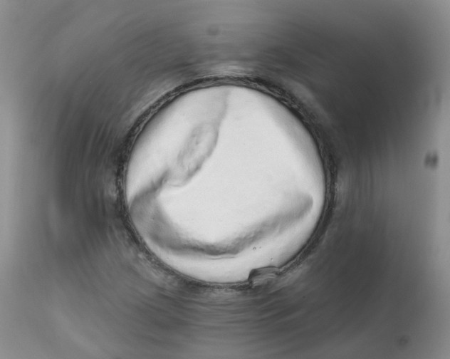 X0000111931209200908241107