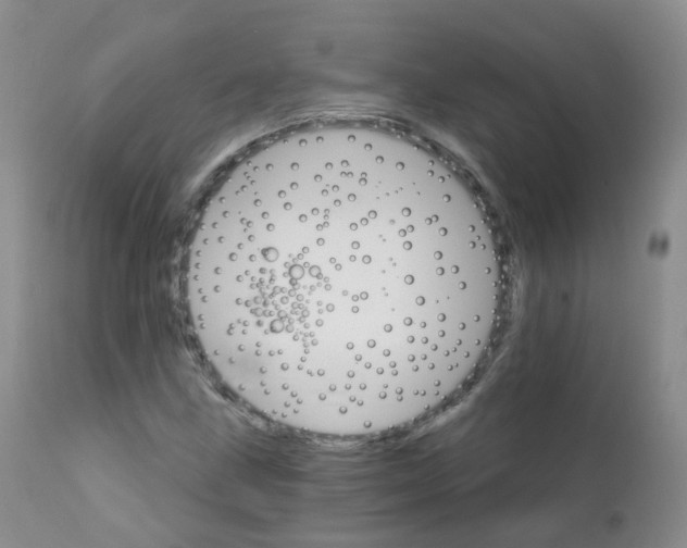 X0000111931211200908241107