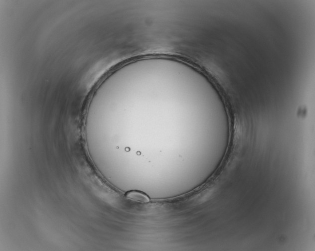 X0000111931212200908241107