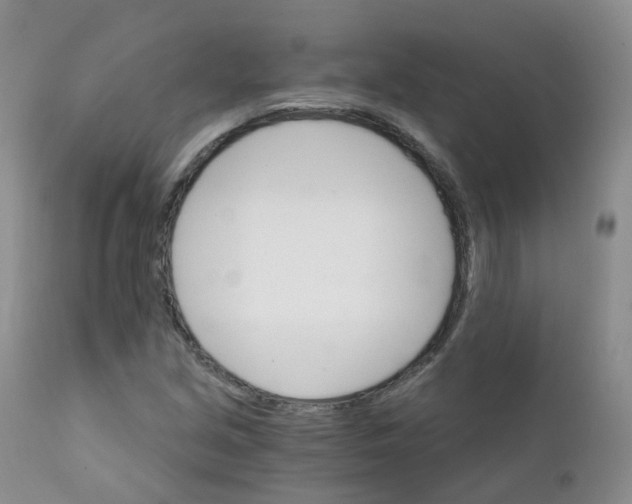 X0000111931213200908241107