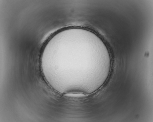 X0000111931214200908241107