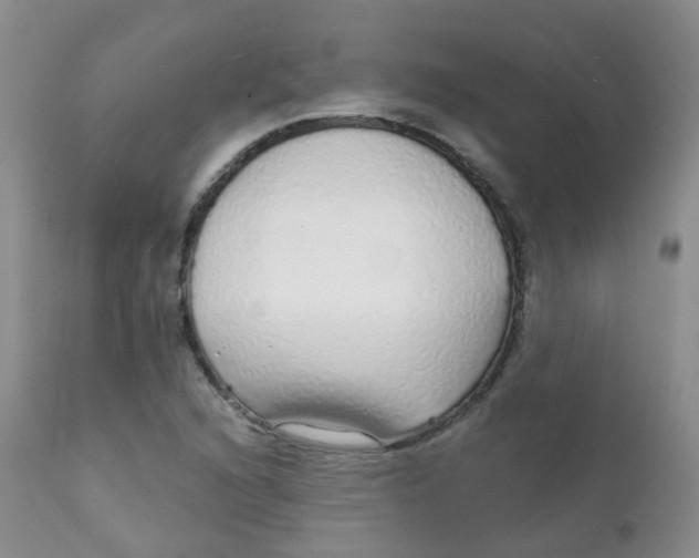 X0000111931216200908241107