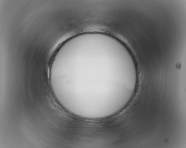 X0000111931219200908241107