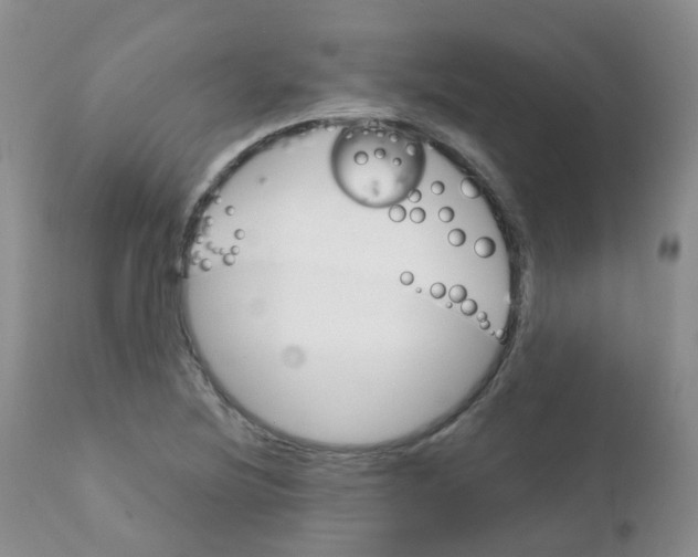 X0000111931220200908241107