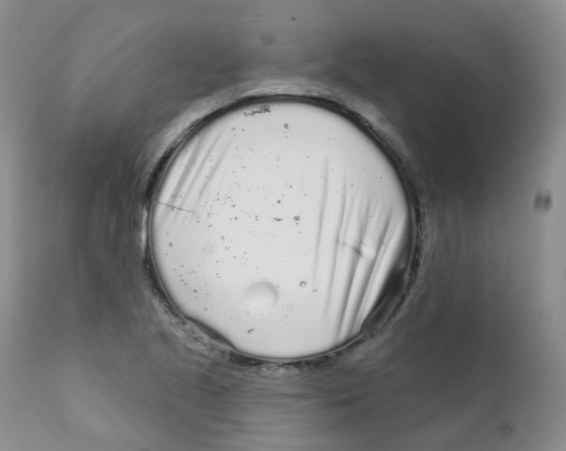 X0000111931221200908241107