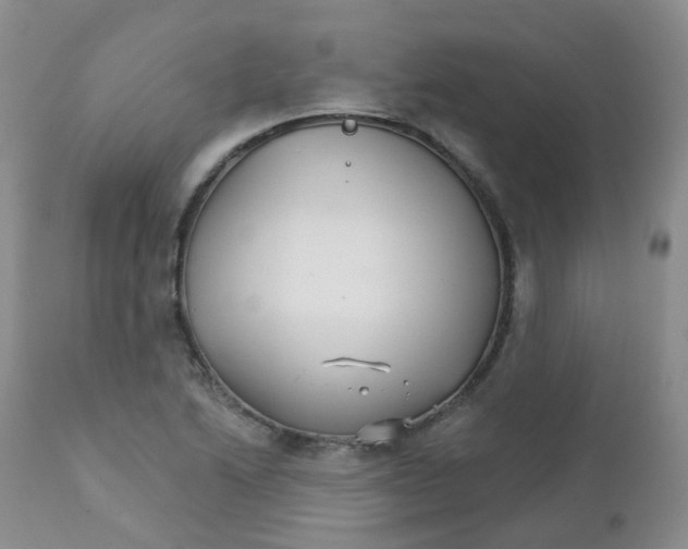 X0000111931222200908241107