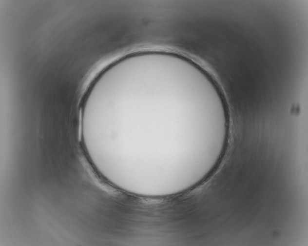 X0000111931223200908241107