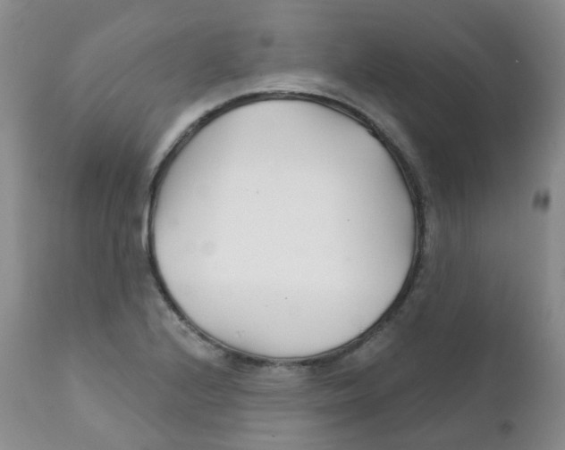 X0000111931224200908241107