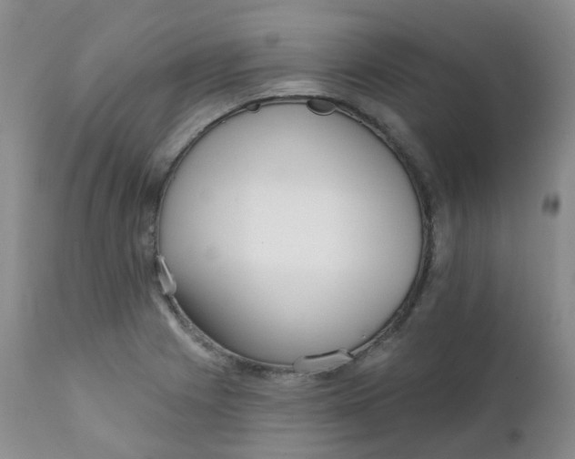 X0000111931225200908241107