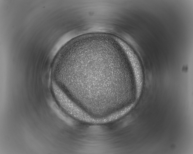 X0000111931227200908241107