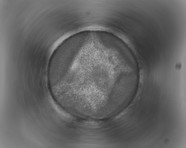 X0000111931229200908241107