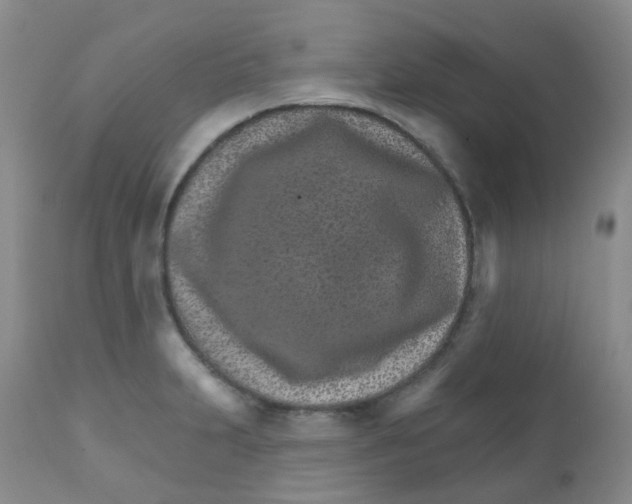 X0000111931231200908241107