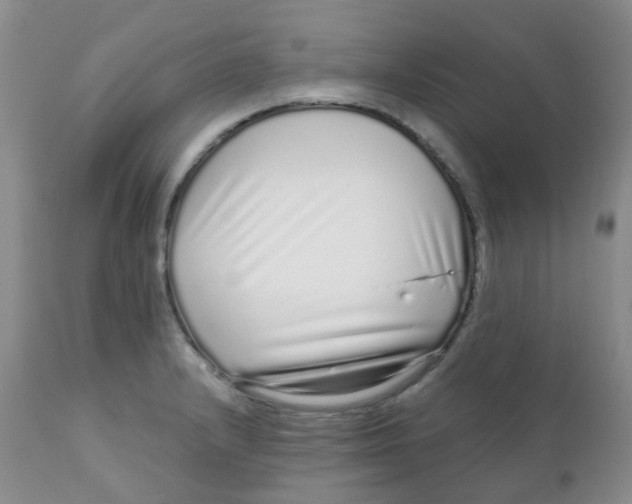 X0000111931232200908241107